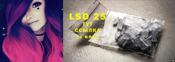 стаф Баксан