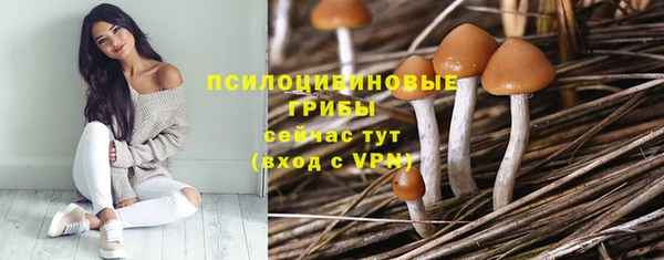 стаф Баксан