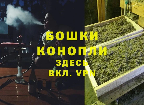 стаф Баксан